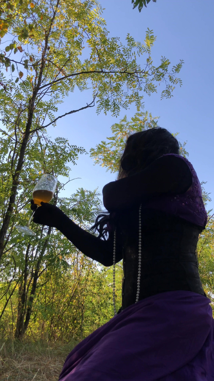 Mesmeriza: Леди Алиса 12, часть 06