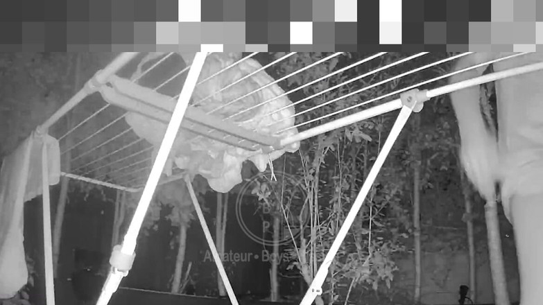 AmateurMates: Lavanderia Pulita, Pensieri Sporchi - Due Coinquilini Bizzarri, Jules E Simon,...