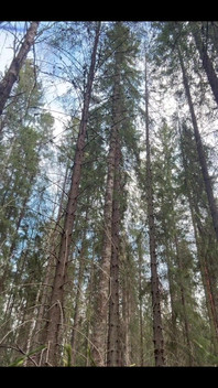 777317138279964677.mp4