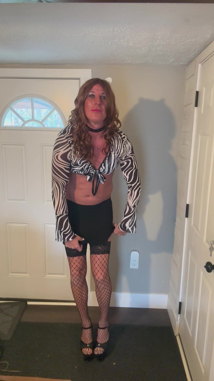 Orlandi480: Zebra Print 2