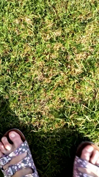 Bare Feet in Slippers