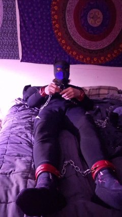 Robert48569: Neoprene 宠物扮演自我束缚锁皮革小狗玩小狗混搭潜水服衣领锁恋物癖金