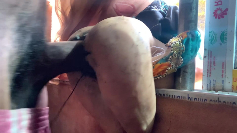 Bangcum8: बड़ा गहरा झुंड सेक्स शो