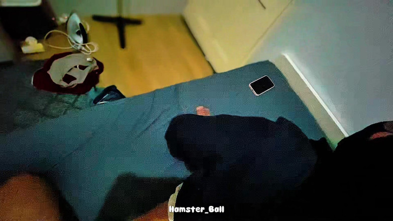 Hamster_Ball: Inviter un conférencier à baiser dans une université islamique de Malaisie