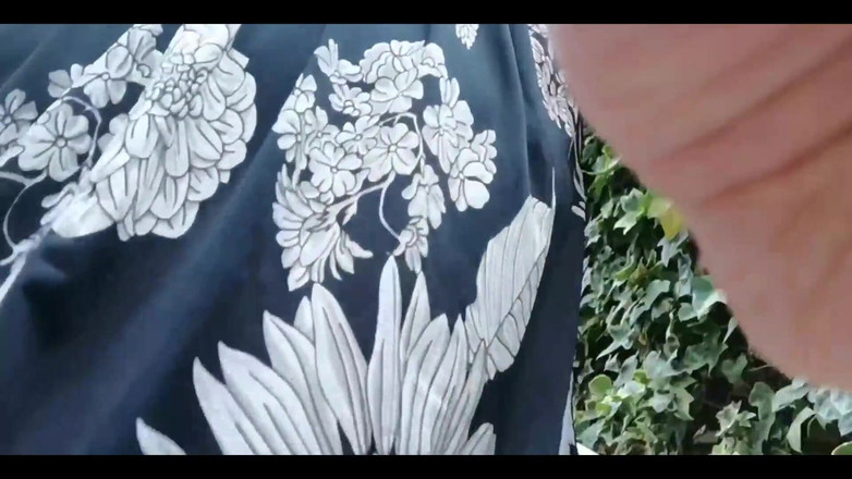 Nicoletta Embassi: Una tarde serena con Nicoletta en su jardín de sueños...