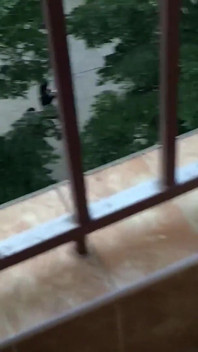 Tôi đeo tất này cho bạn stepdaddy
