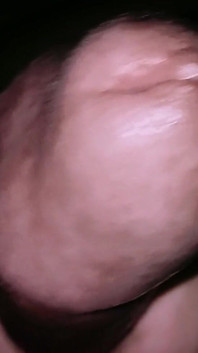 Esposa Acaricia Pau Em Close-up