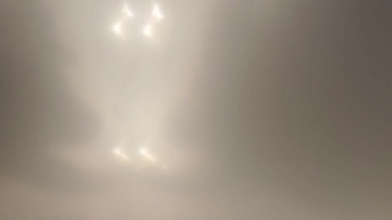 Skin and earth: Knubbig björn POV underifrån. Grunting och cumming i ditt ansikte