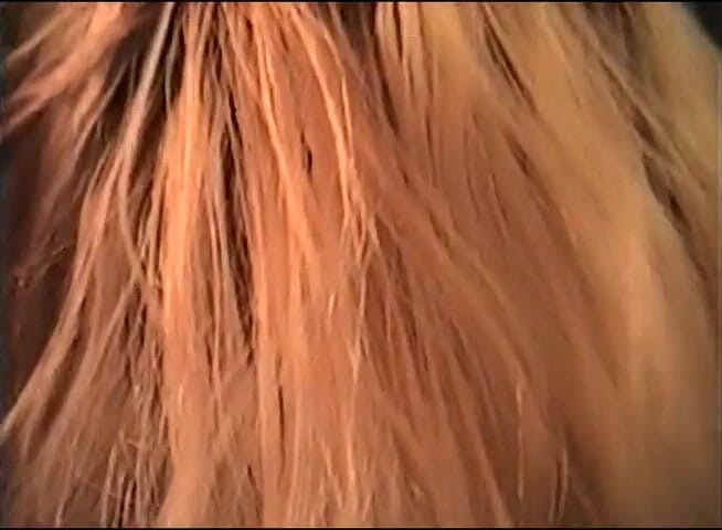 Flash Model Amateurs: Caliente rubia puta chupa polla