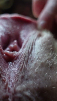 Pepek labia besar saya dari bawah rakaman dekat