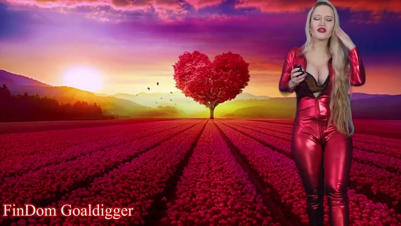 FinDom Goaldigger: Laatste joi in je leven! Instructies voor kuisheidskooi