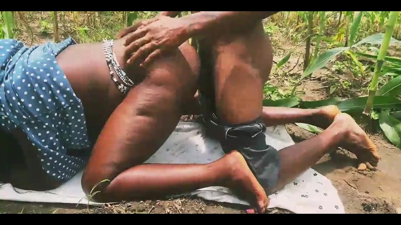 Showkee: Farm Doggyshot