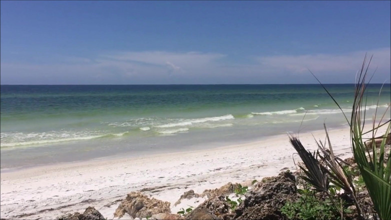 Dom Rod: プラシシル002のバブル