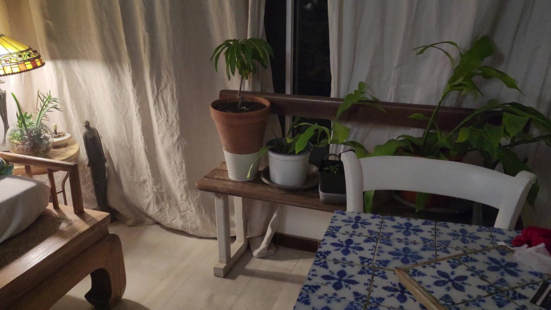 Alice Drake: Scopare nella veranda