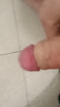 Meu pau