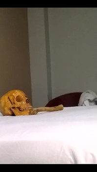 We Wanted to Study, but We Got Horny