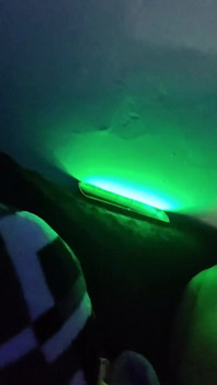 POV Zpět zadek Velká Kolumbijka