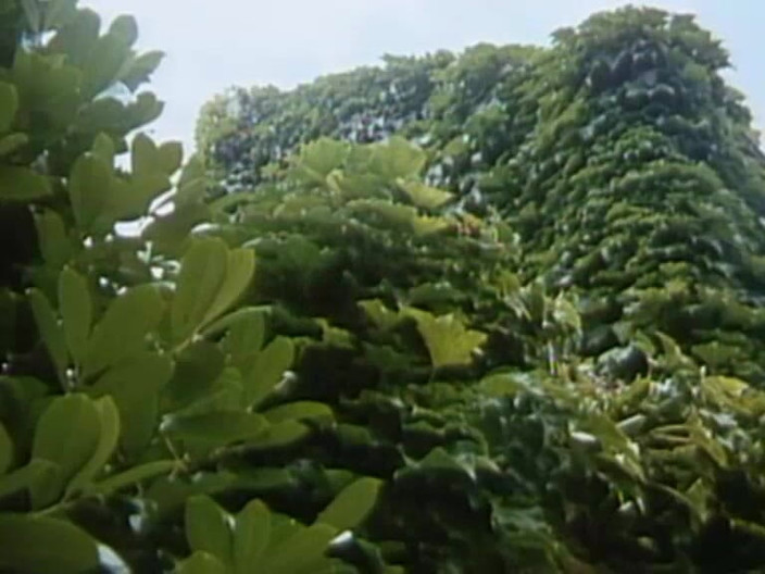 Java Consulting: Brigitte Lahaie,Annouchka和marion webb在场景8中的热辣阴道抚摸:“secrétaire Sans Culotte”(1979)