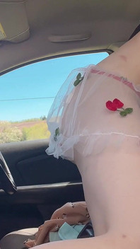 Petite Body Wear Sexy Dress on the Car