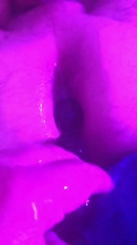 Balls Inside