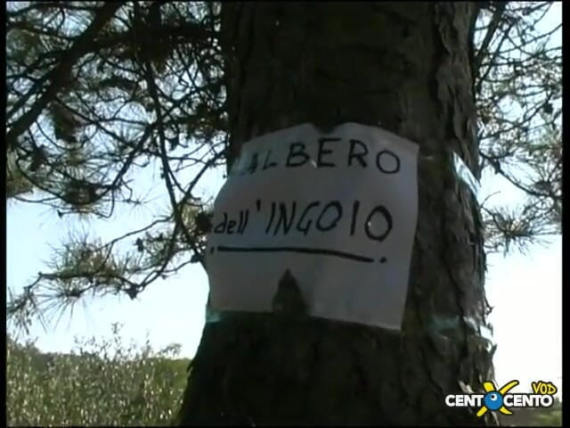 Topaweb: Bebiendo leche de sed Los machos se corren en una...