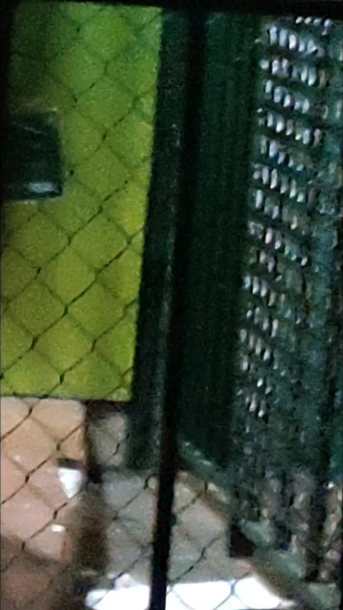 En la calle: 거리의 미니스커트