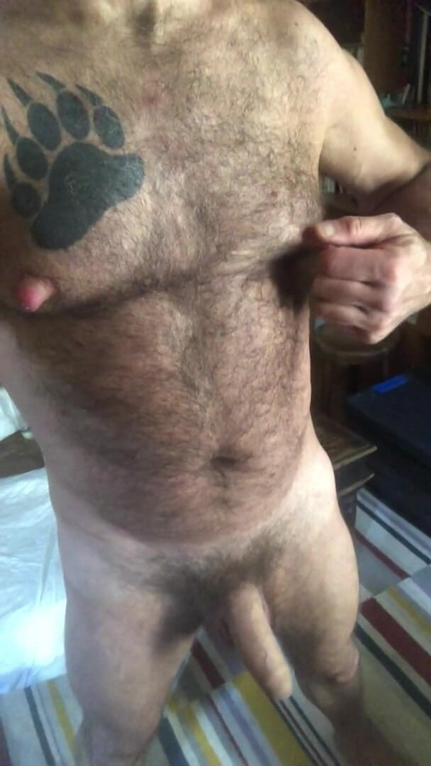 Portugaycho: Nippel 2
