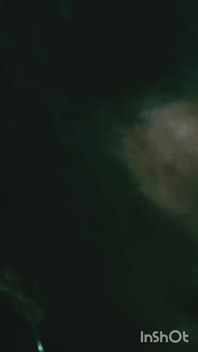 Mulut biru succubus!