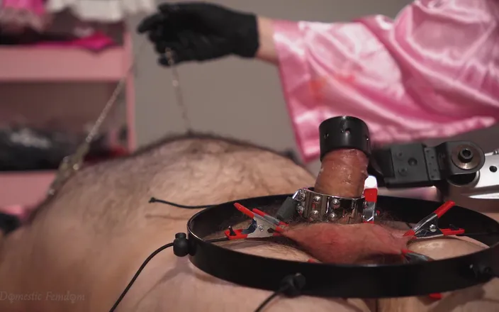 Domestic femdom: Harsh CBT Orgasm