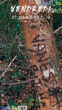 La Llamada Del Bosque Para Una Zorra De Semen P U B L I C