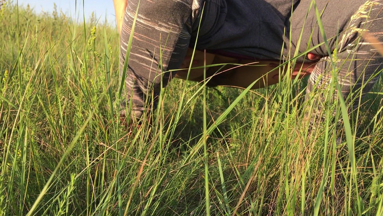 Risky Hairy Couple: Plassen in het gras in een weide