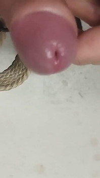 Ve nevyžádané místnosti. Bayer