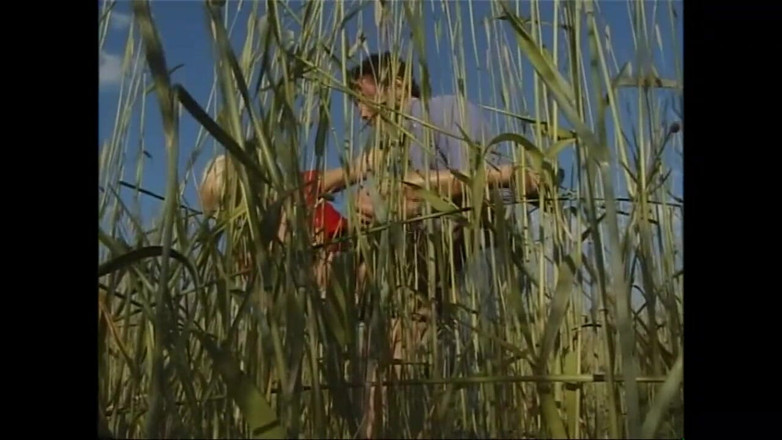 MMV TV - our best full movie: 今まで見た中で最も汚いマンコを食べてチンポに乗る (完全なポルノ映画)