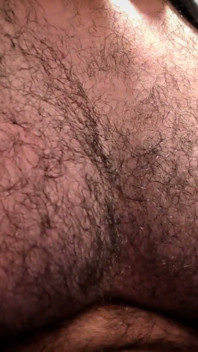 Berbulu
