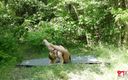 Gymnastic: Ballerina in the forest