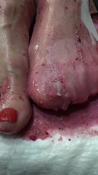 Eu faço xixi no seu bolo e pisoteei com meus pés