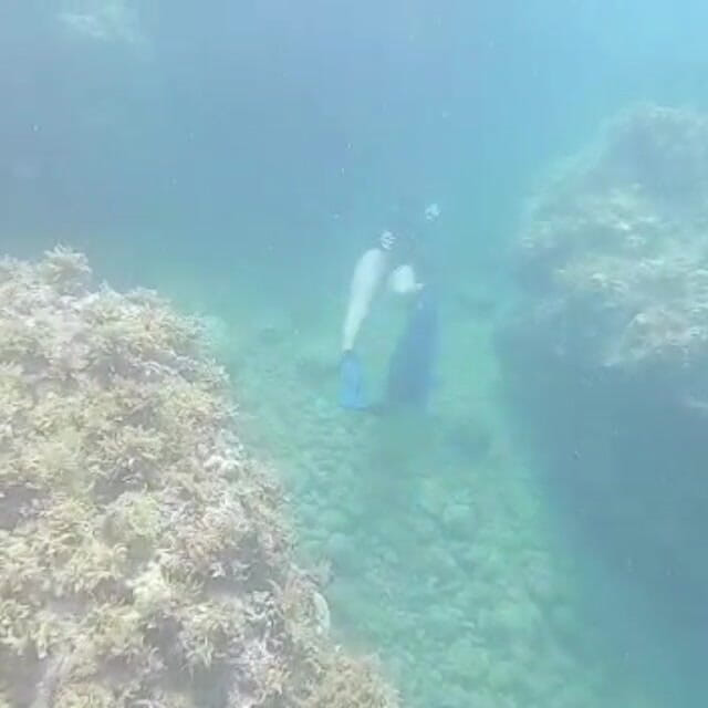 creamberryfairy: Ima Mermaid