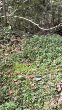 Énorme Cul Latina Baise Deux Inconnus Pendant Que Son Mari N’est Pas À La Maison