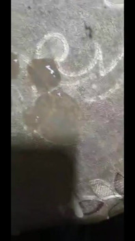 Arab Dick Big Cock From Morocco
