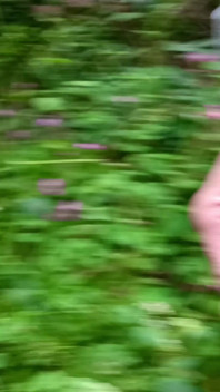 Zakar besar belum disunat berjalan, kencing, melancap di dalam hutan, memakai kord - Rockard Daddy