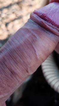 Stiefschwester gibt mir blowjob im wald. Riskanter Sex, wir wurden fast im wald erwischt!