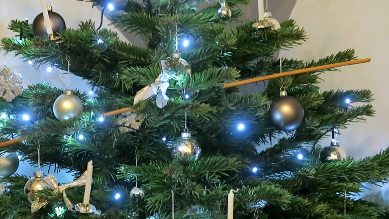 Master Drex: Christmas with stick