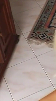 Lucy Anne Czech Coes hield van grote zwarte lul videospeler