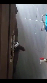 Mă ud uitându-mă la fratele meu vitreg pula mare și neagră și aproape că sunt prinsă.