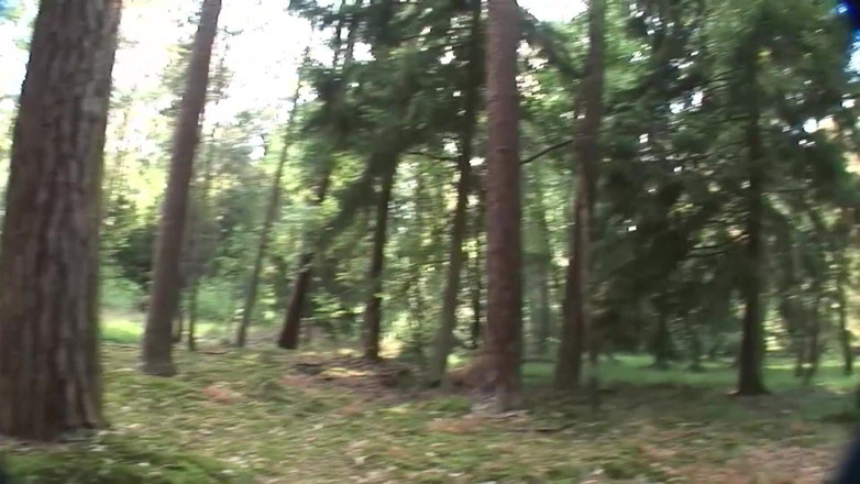 German amateur - 100% German hardcore videos: Increíble rubia milf consigue analmente follada al aire libre