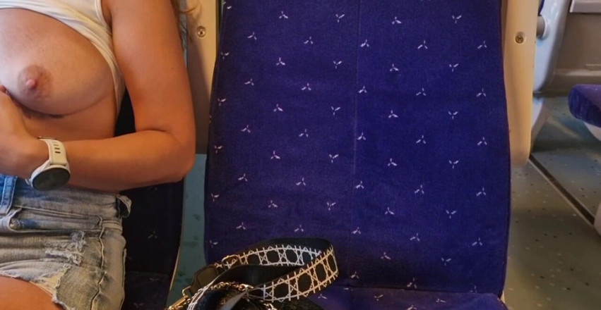 JonDickFlash: Expunere de țâțe în tren