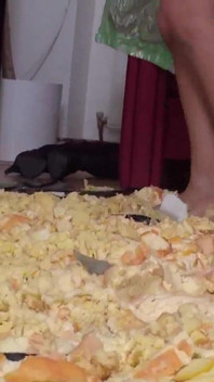 Troie calpestare il cibo in salotto
