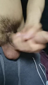 Grossa, pelosa e bella vuole affetto