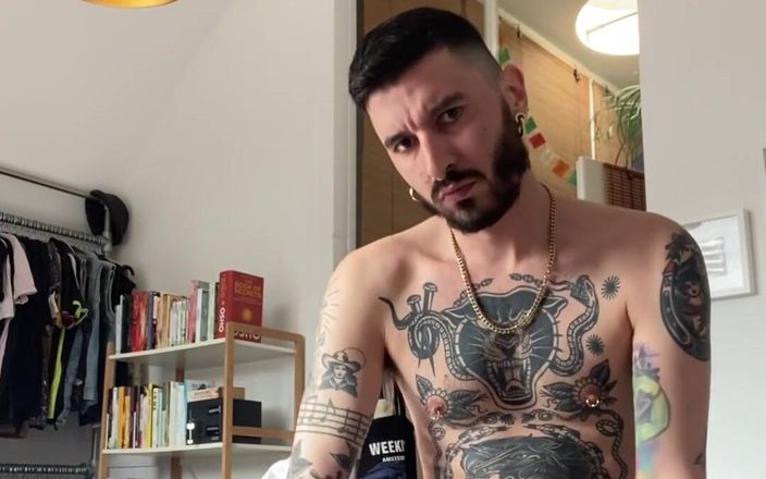 Stallion papi: Honění Tatto