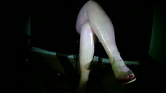 MisS Angel: Geistig blasse weiße beine 2.